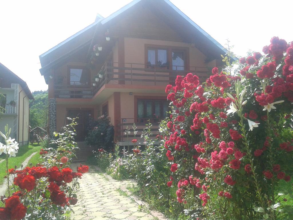 Nopti De Vara Transfagarasan Capatineni-Paminteni Exterior foto