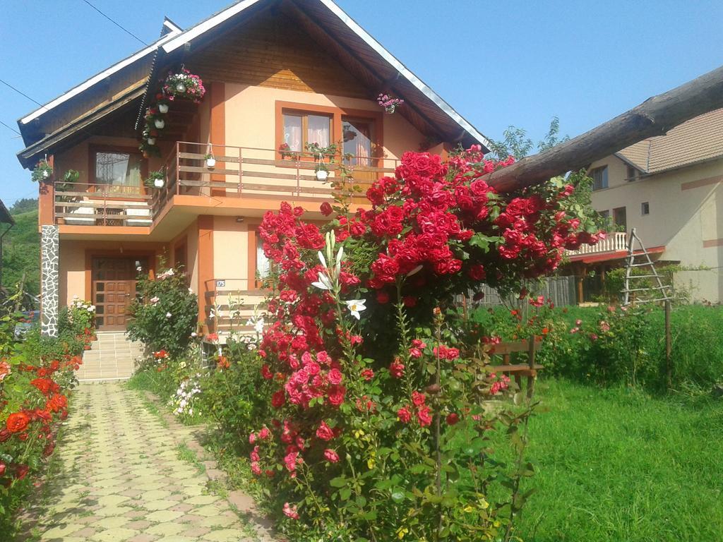 Nopti De Vara Transfagarasan Capatineni-Paminteni Exterior foto