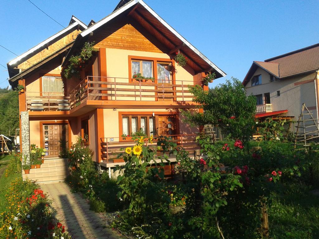 Nopti De Vara Transfagarasan Capatineni-Paminteni Exterior foto