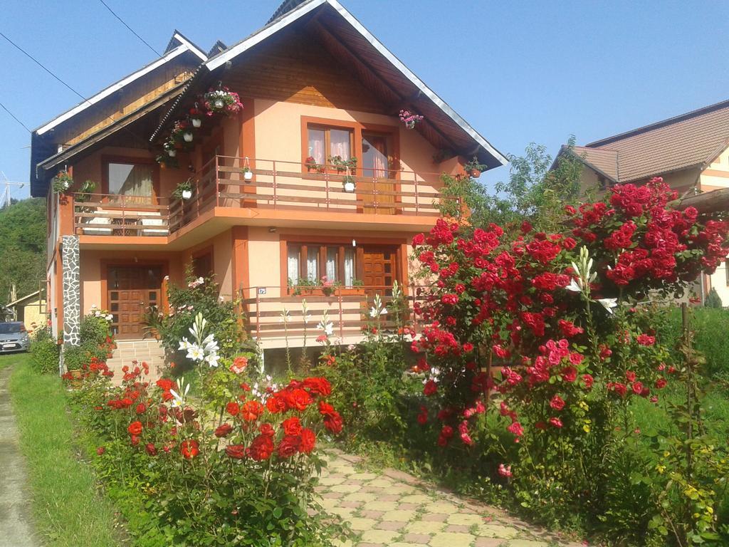 Nopti De Vara Transfagarasan Capatineni-Paminteni Exterior foto